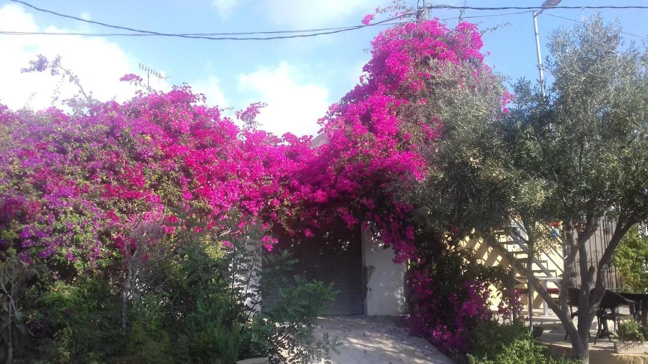 Casa Los Cerezos Villamartin  Exterior photo